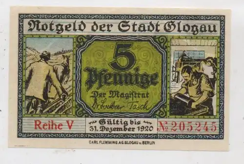 NIEDER - SCHLESIEN - GLOGAU / GLOGOW, Notgeld 5 Pfennige, 1920, sehr gute Erhaltung