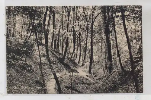 0-1276 BAD BUCKOW, Silberkehle