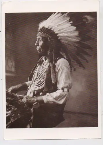 INDIANER - WILD HORSE, Oglala Sioux Chief, moderne AK