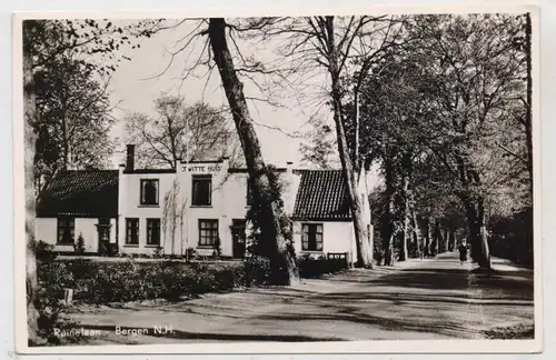 NOORD-HOLLAND - BERGEN, Ruinelaan / Het Witte Huis, 195...