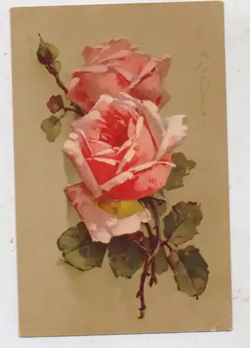 KÜNSTLER - ARTIST - CATHARINA KLEIN, Rosen, Meissner & Buch Serie 1777