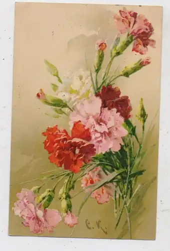 KÜNSTLER - ARTIST - CATHARINA KLEIN, Nelken