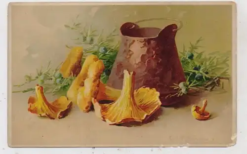 FLORA  - PILZE / Mushrooms / Funghi / Champignons, Pilze & Kessel, Catharina Klein, Meissner & Buch, Randmängel