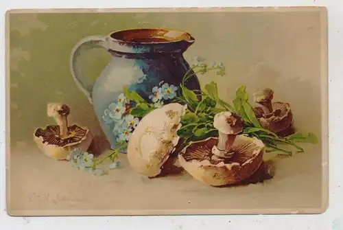 FLORA  - PILZE / Mushrooms / Funghi / Champignons, Pilze und Wasserkrug, Künstler-Karte Catharina Klein, Meissner & Buch