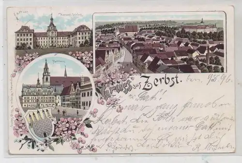 0-3400 ZERBST, Lithographie 1896, Rathaus, Schloß, Ortsansicht, Stadtwappen