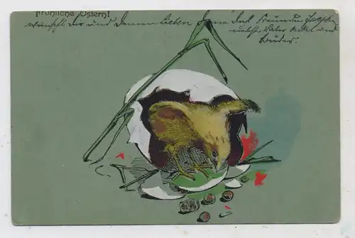 OSTERN - Küken schlüpft aus dem Ei, handgemalt, 1907