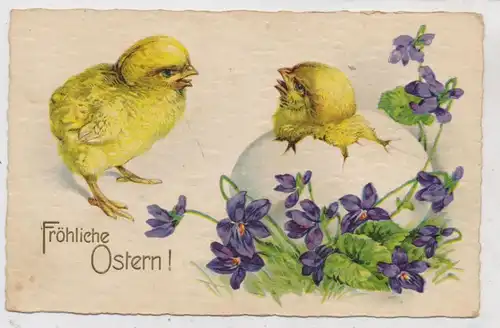 OSTERN - 2 Küken beim Eischlupf