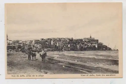 ISRAEL - TEL AVIV - JAFFA, View from sea-shore, Boys with donkeys
