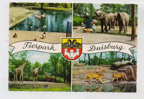 TIERE - ZOO DUISBURG, Tiger, Giraffen, Elefanten, Flamingos, 1967
