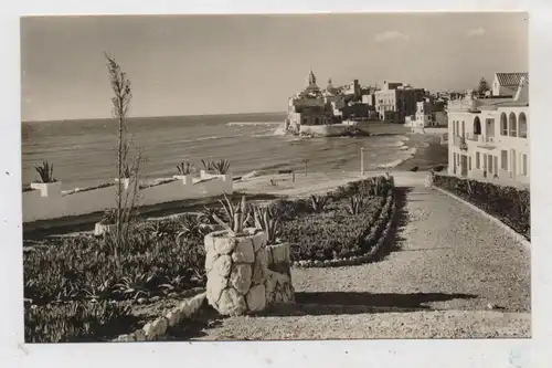 E 08870 SITGES, Playa San Sebastian, Jardines