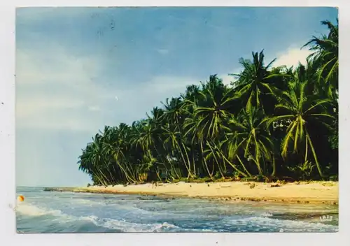 SENEGAL - Coco-nuts beach
