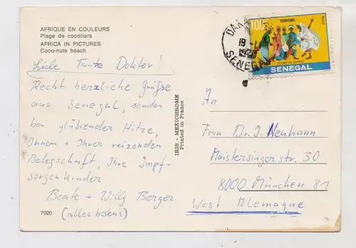 SENEGAL - Coco-nuts beach