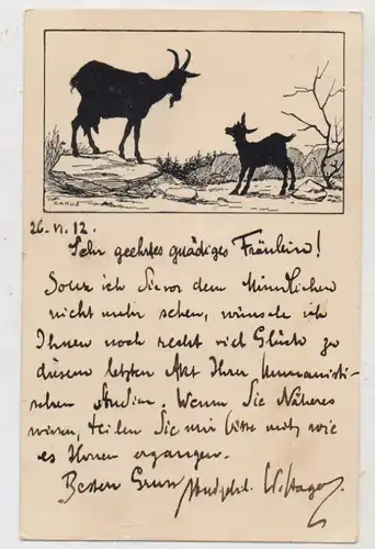 TIERE - ZIEGEN / Goats / Geiten / Chevres, Schattenbild, Künstler-Karte CARUS, 1912