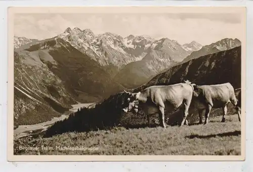 LANDWIRTSCHAFT - VIEHZUCHT, Kühe, Brigsauer Tal