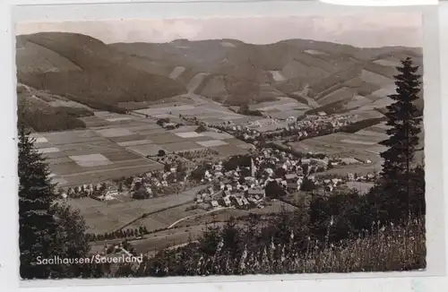 5940 LENNESTADT - SAALHAUSEN, Blick auf den Ort