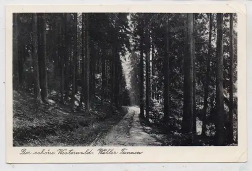 5439 BAD MARIENBERG - UNNAU - STANGENROD, Postgeschichte, Landpoststempel, 1954