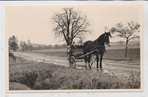 KUTSCHE / Coach, Einspänner, Photo-AK