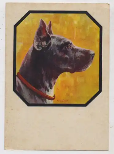 HUNDE - DEUTSCHE DOGGE, Künstler-Karte W. Merker