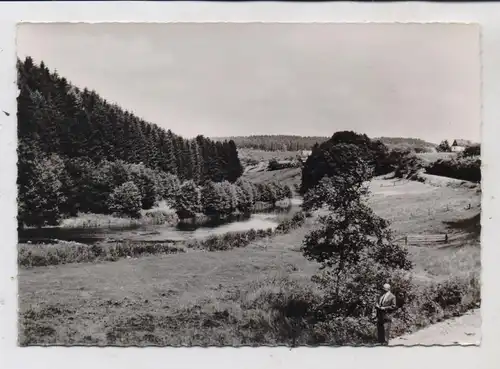 5238 HACHENBURG - HEIMBORN, Nistertal bei Heimborn
