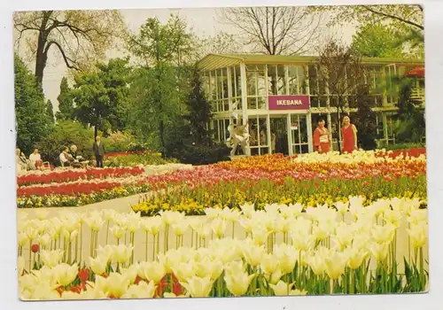 5000 KÖLN - DEUTZ, BUGA 1971, Ikebana - Pavillon