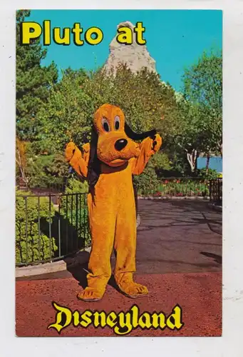 DISNEY - DISNEYLAND, Pluto at Disneyland
