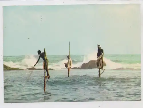 SRI LANKA / CEYLON - WELIGAMA, Fishing from stilts