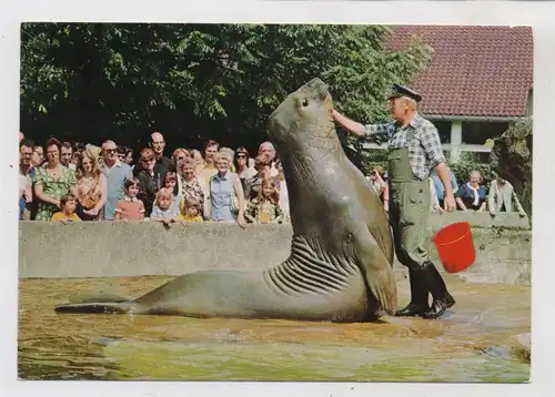 1000 BERLIN - TIERGARTEN, ZOO, See - Elefantenfütterung