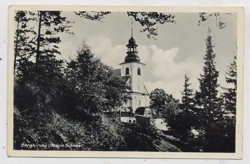 NIEDER - SCHLESIEN - WÖLFELSGRUND / MIEDZYGORZE, Bergkirche Maria Schnee, 1938, Verlag Herden