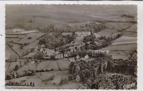 3490 BAD DRIBURG - BAD HERMANNSBORN, Luftaufnahme 1953