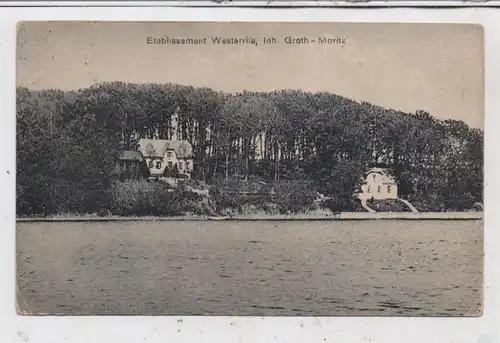 DK 6100 HADERSLEBEN / HADERSLEV, Etablissement Westerriis, 1919