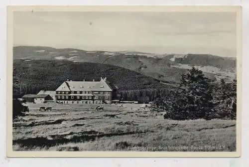 NIEDER  - SCHLESIEN -SCHREIBERHAU / SZKLARSKA POREBA, Neue Schlesische Baude, Verlag Staudte - Hirschberg
