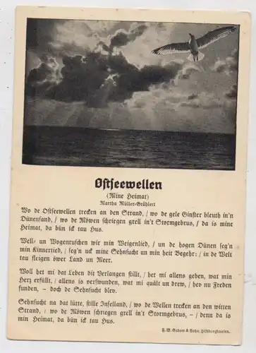 MUSIK - LIEDER, "OSTSEEWELLEN / Mine Heimat"