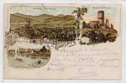 5300 BONN - BAD GODESBERG, Lithographie 1897, Neuer Curpark, Godesburg, Panorama, Nachgebühr / Tax