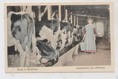 LANDWIRTSCHAFT - Kuhstall zur Winterzeit