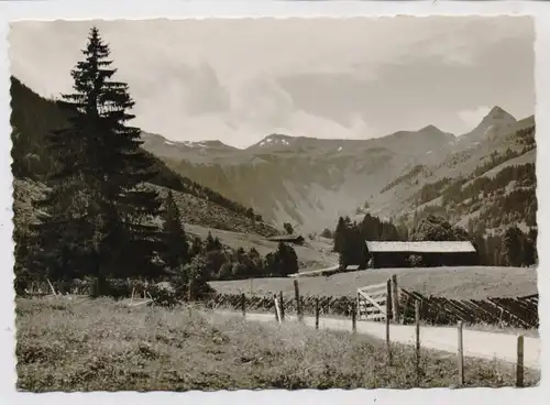 A 5753 SAALBACH - HINTERGLEMM, Talschluß, 1966