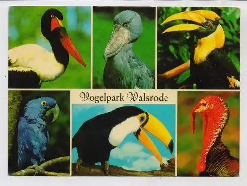 TIERE - ZOO, Vogelpark Walsrode