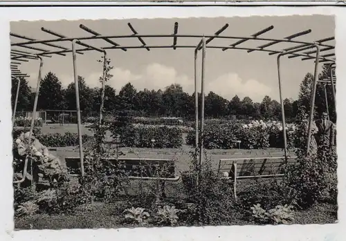 5483 BAD NEUENAHR - AHRWEILER, Dahliengarten Neuenahr, Verlag Sühwold - Köln