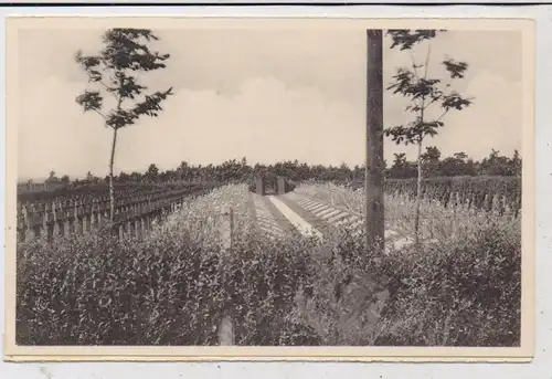 B 8900 IEPER / YPERN - ZILLEBEKE, Duitsch Krijkskerkhof / Deutscher Kriegerfriedhof