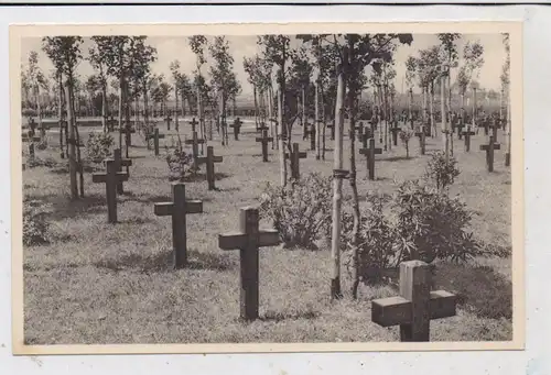 B 8900 IEPER / YPERN - HOLLEBEKE, Duitsch Krijkskerkhof / Deutscher Kriegerfriedhof
