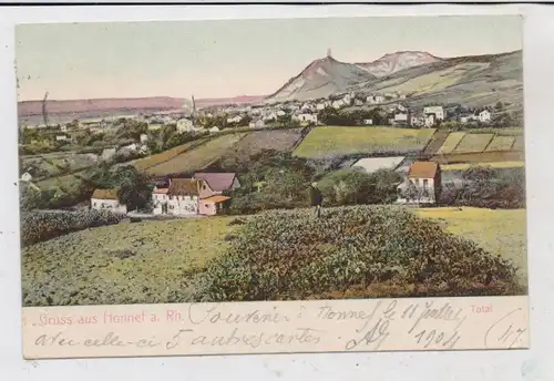 5340 BAD HONNEF, Gruss aus..., Blick üer den Ort, color, 1904