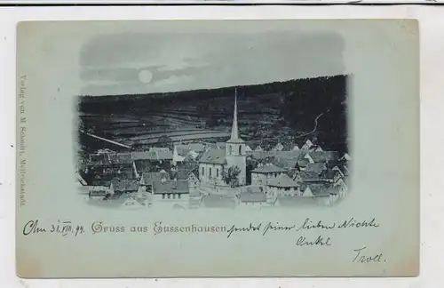 8744 MELLRICHSTADT - EUSSENHAUSEN, Gruss aus... Mondscheinkarte 1899
