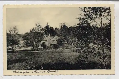 3045 BISPINGEN - BORSTEL, Bauernhaus, Landpoststempel "Toppenstedt über Winsen (Luhe)", 1939