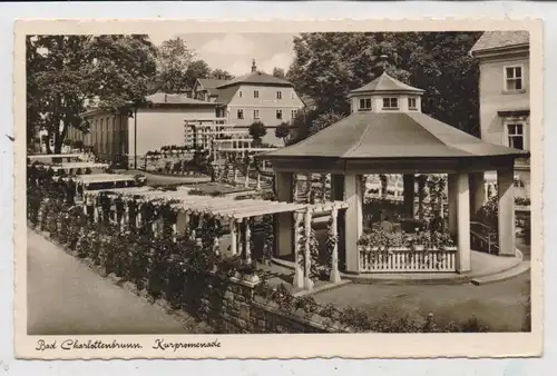 NIEDER - SCHLESIEN - BAD CHARLOTTENBRUNN / JEDLINA ZDROJ, Kurpromenade