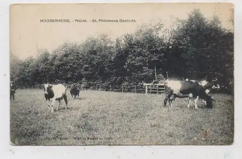 NOORD-BRABANT - WOENSDRECHT - HOOGERHEIDE, Weide, St. Philomena Gesticht, 1924