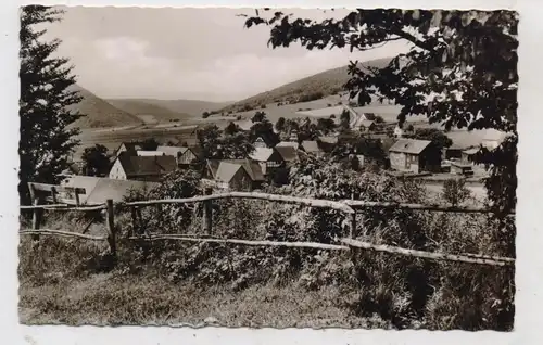5788 WINTERBERG - HILDFELD, Blick über das Dorf, 1959