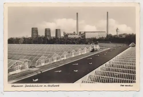 2964 WIESMOOR, Gewächshäuser und Kraftwerk, 1952