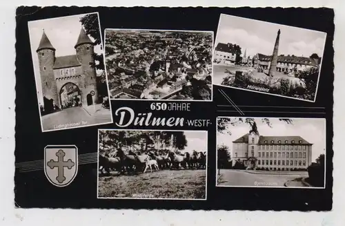 4408 DÜLMEN, Marienplatz, Lüdinghauser Tor, Gymnasium, Wildpferde, Luftaufnahme