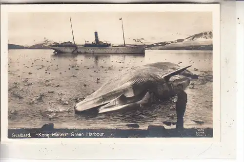 NORGE / NORWEGEN, Svalbard / Spitsbergen, "Kong Harald", Green Harbour / Isfjord, Whaling / Walfang / Hvalfangst