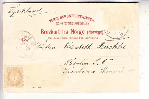 NORGE / NORWEGEN, STRYN - OLDEN, Nordfjord, 1900