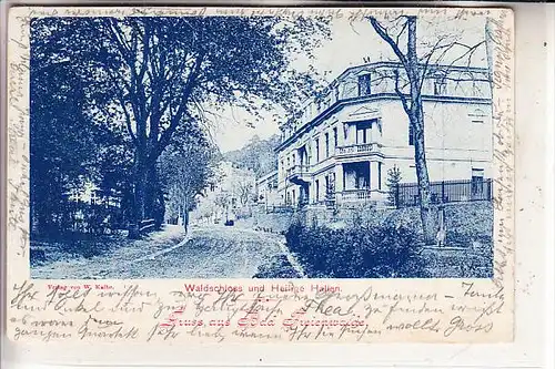 0-1310 BAD FREIENWALDE, Waldschloss und Heilige Hallen, Firmenlochung / Perfin, 1909, rücks. dünne Stelle